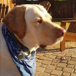 Meet your Posher, Caleb